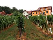 Weinbau, Bio- Rosenbau & Gästezimmer Ferk
