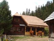 Denggnhütte, Norbert Pistrich