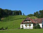 Weinbauernhof Postl, vlg. Koschutta