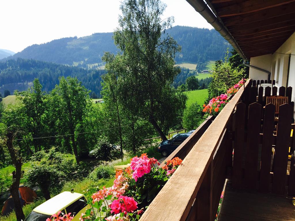 auensteckdose camping CEE Auensteckdose 16A wei, Wamovo