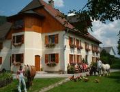 Bauernhof Hofbauer