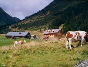 Knollihütte, Fam. Leitner Hubert