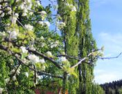 Panoramaschenke Kure