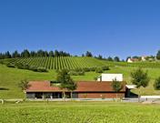 Weingut Erwin Sabathi