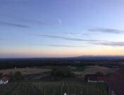 Weinberglodge - Traminer Weinstöckl