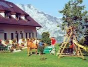 Baby- Kinder- Reiterbauernhof Bichlmannhof