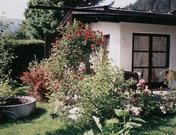 Hülsmann, Ferienhaus