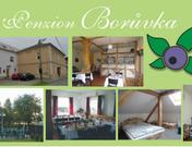 Penzion Borůvka