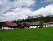 Wieserhof