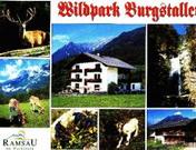 Burgstaller