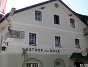 Bockwirt