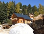 Holzwurm Hütte