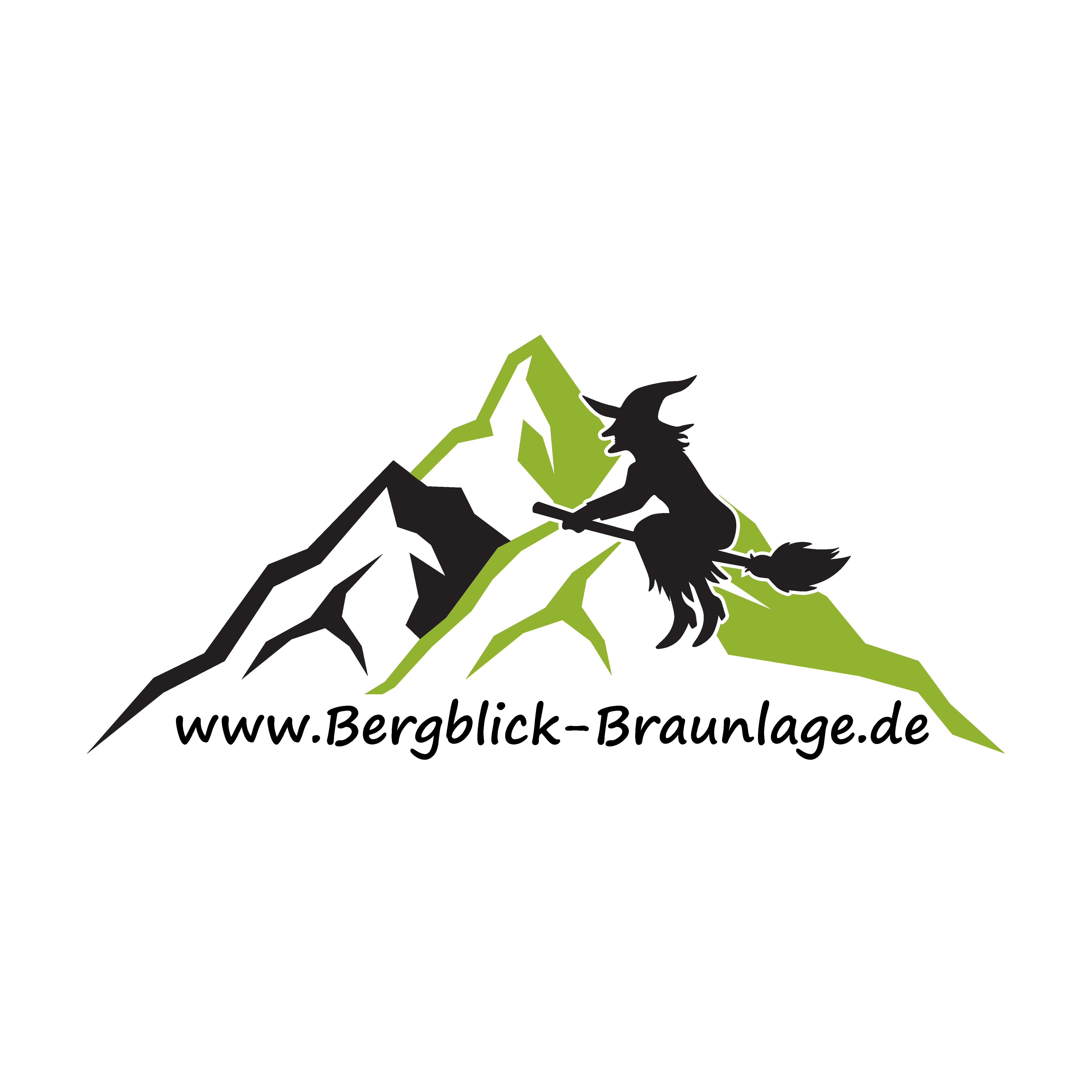 Logo Bergblick Braunlage-01 (002)