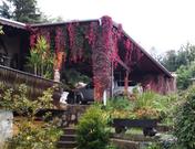 Ferienhaus Kärger