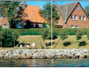Litschen, Jochen