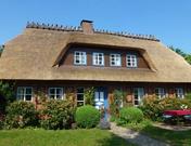 Liebig, Anna-Christiane
