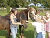 Thomsen, Hilke