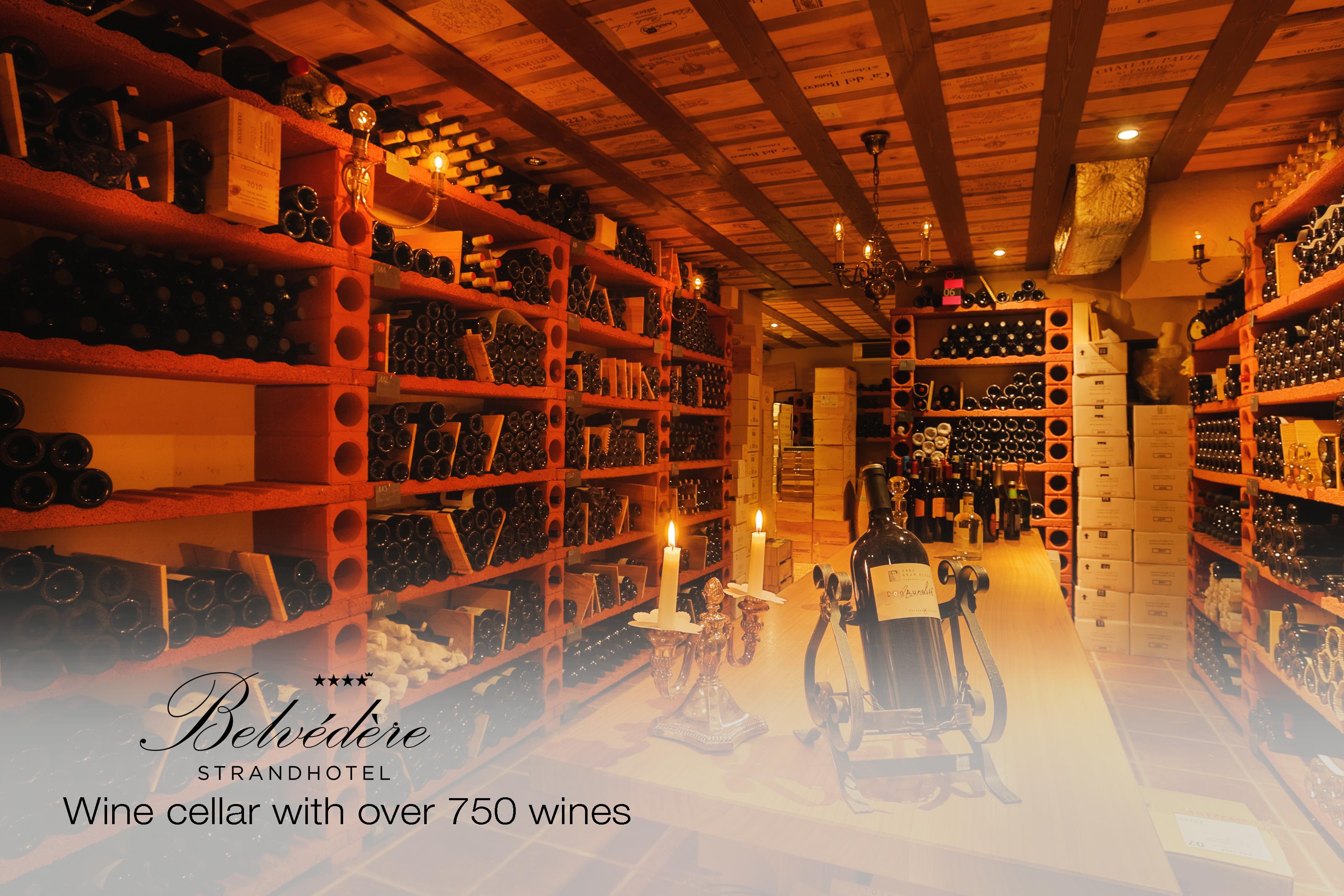 Wine cellar with over 750 wines