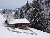 Isehuet