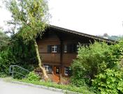 Larix