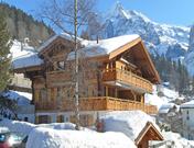 Alpenblume 3.5