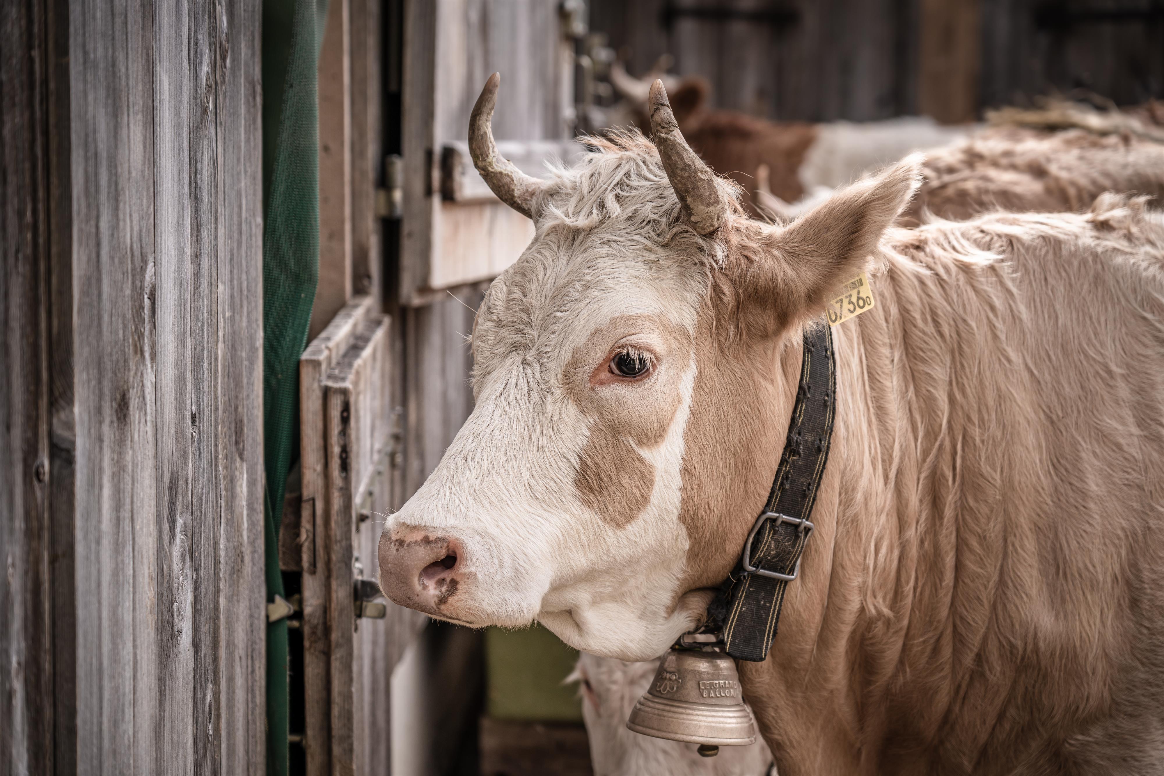Landwirtschaftsanlass 2024