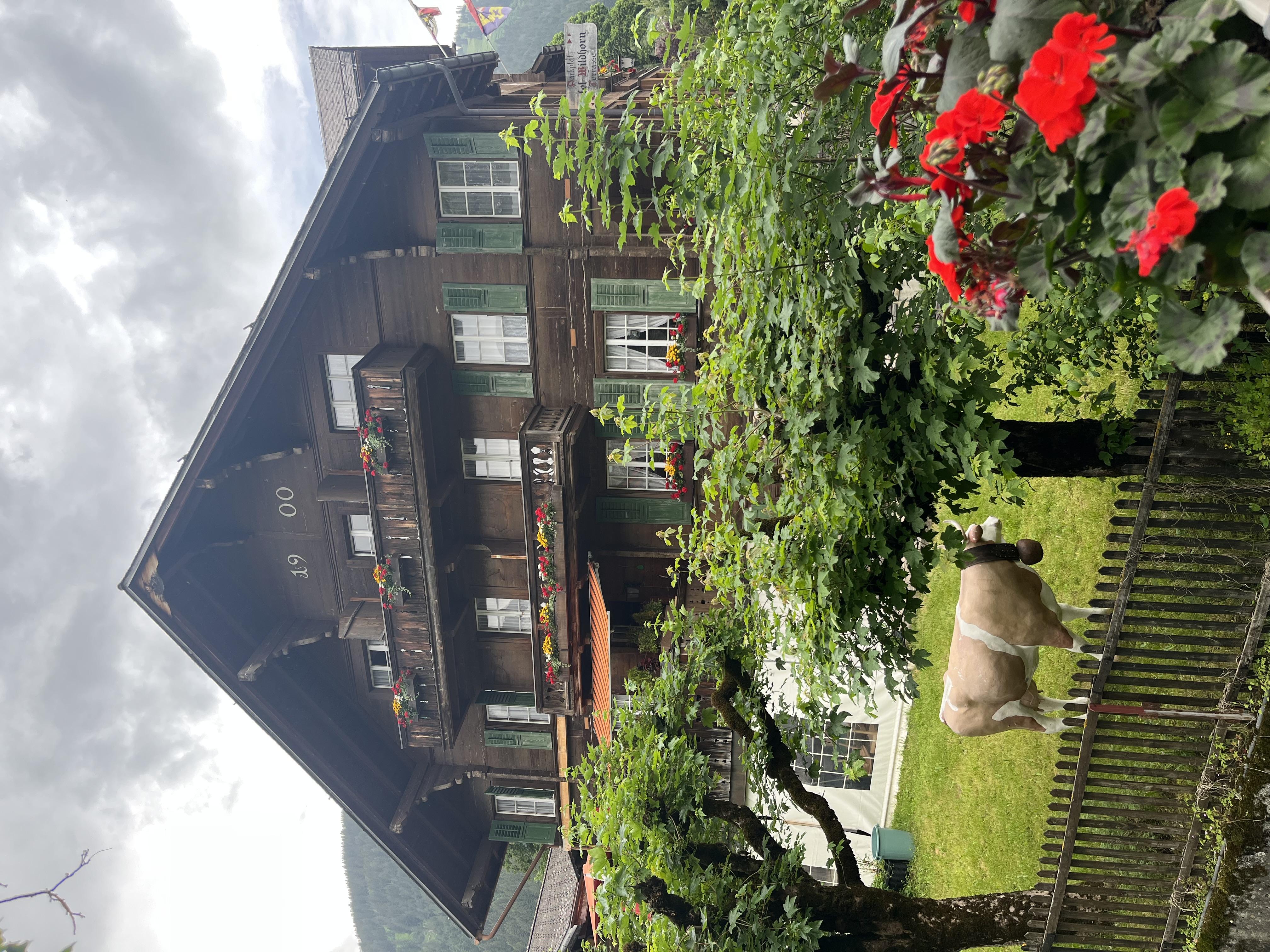 Holiday Region Gstaad: Restaurant Hotel Wildhorn