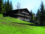 Bodmisunne