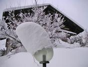 Zytröseli