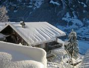 Silberfirn