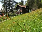 Sonnenheim