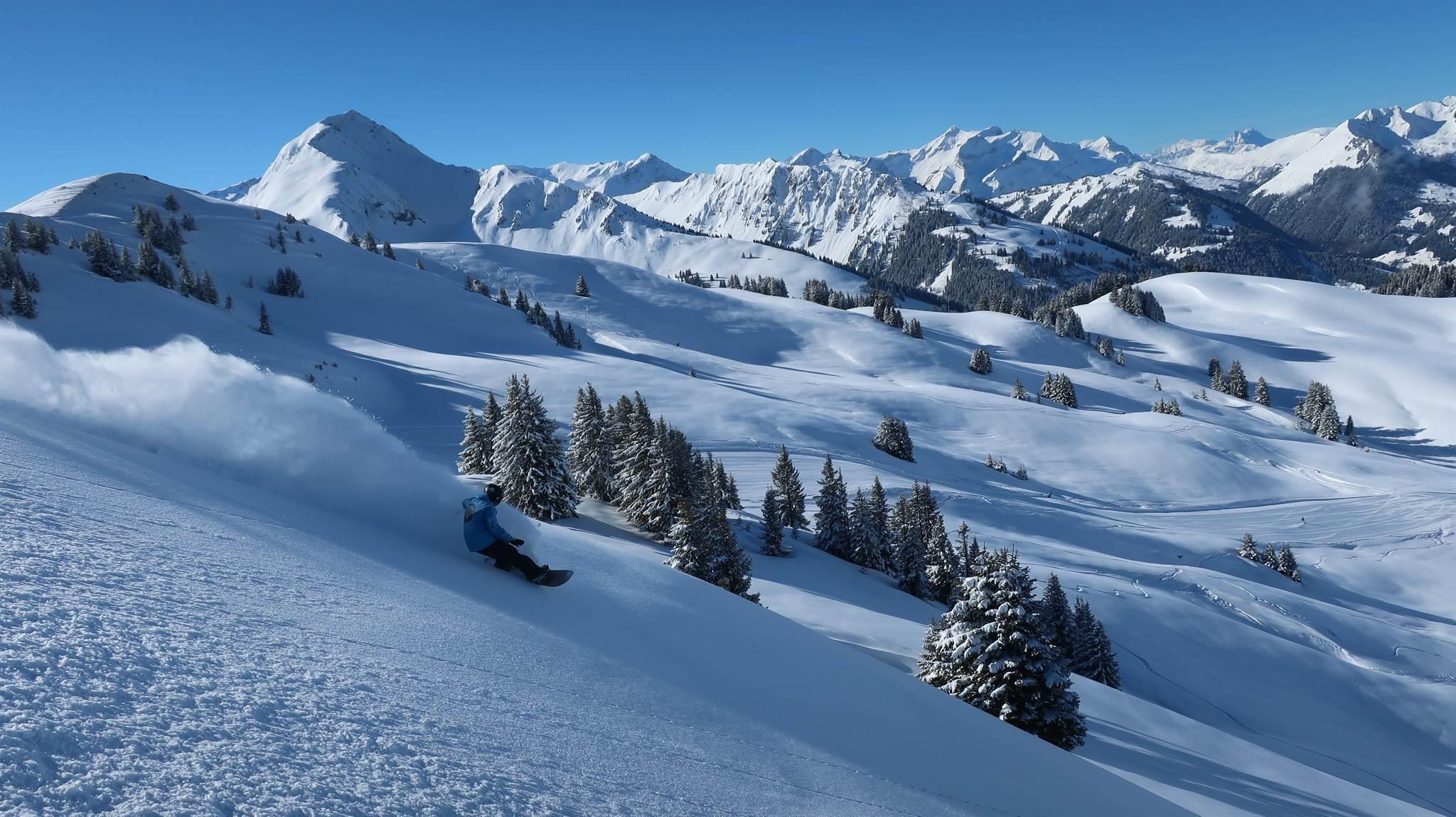 lenk-simmental-tourismus-pure-snowboard-school