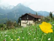 Berghotel Maderhalm garni