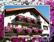 Alpenzauber, Haus