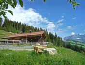 Chalet Wirtsalm