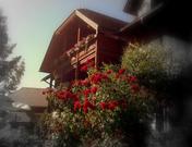 Fischerhaus