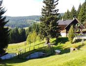 Almwirtschaft Kleinhinterbergerhütte