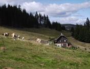 Friedlkeusche