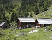 Mitterbergerhof