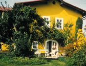 Wiesenhof