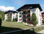 Selva/353Ru/Urs