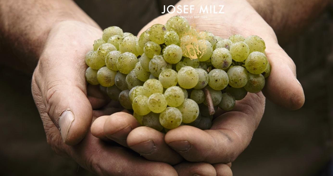 Weingut Josef Milz