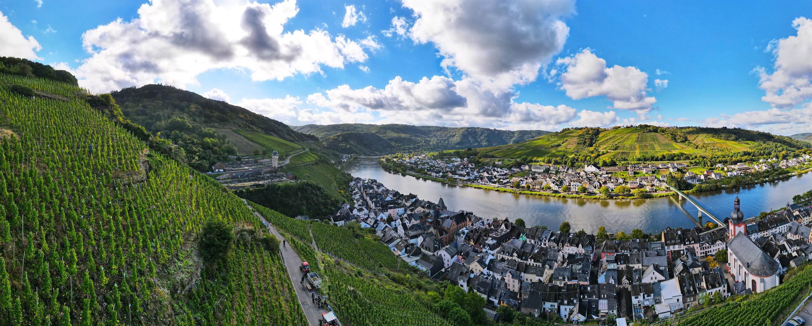 Panorama Zell (Mosel)