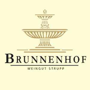 Brunnenhof Logo