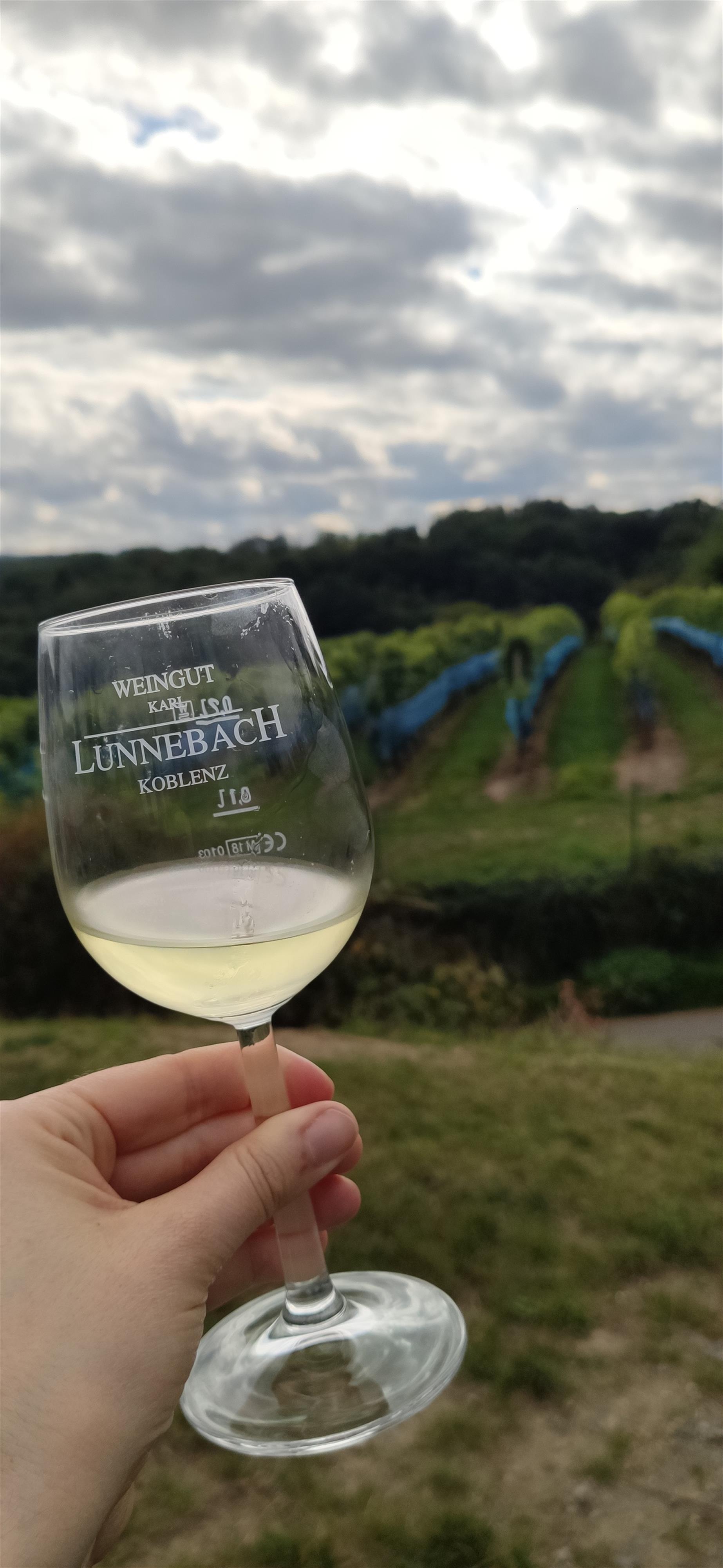 Weingenuss im Weinberg