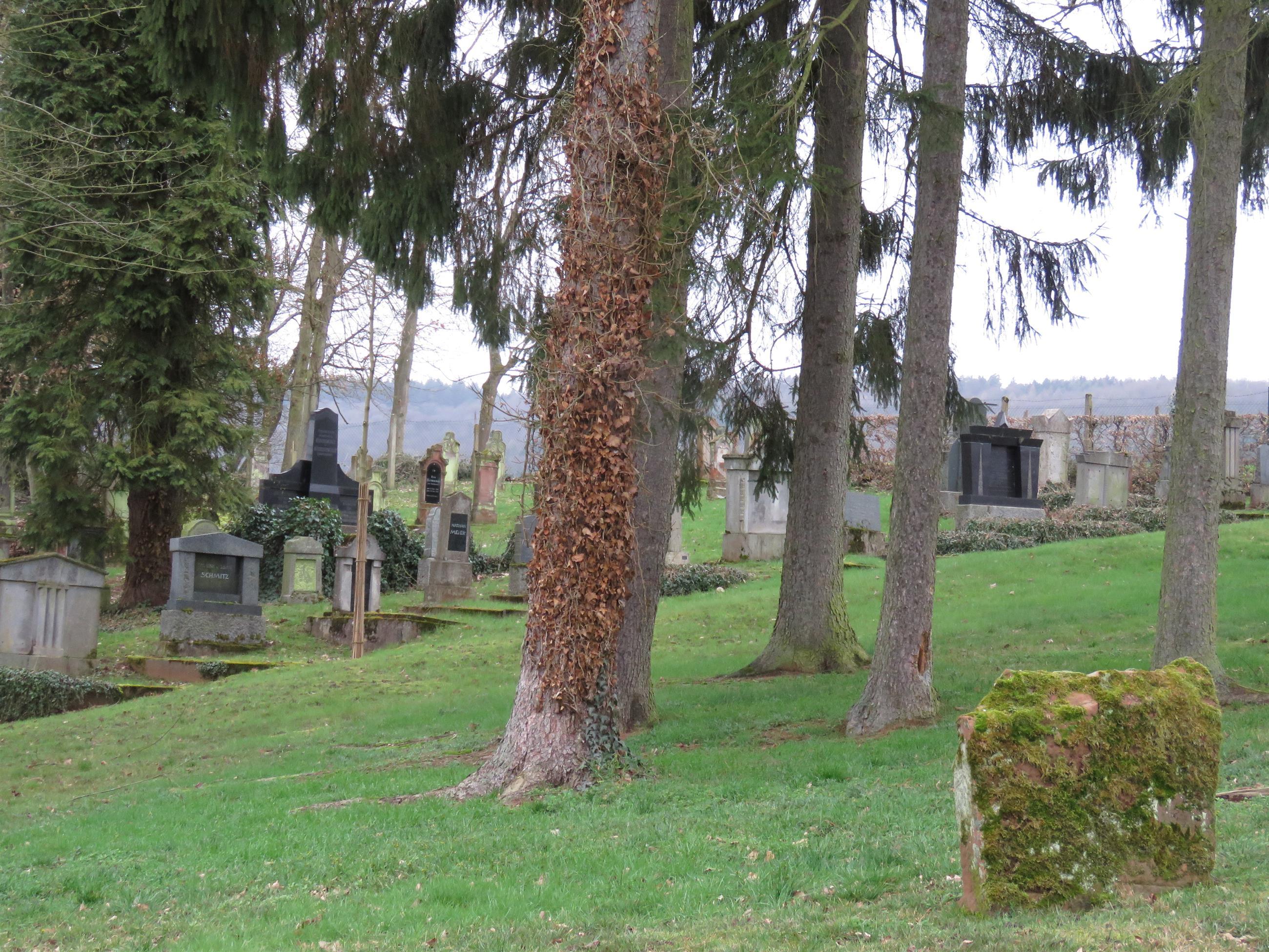 Jüdischer Friedhof Wittlich