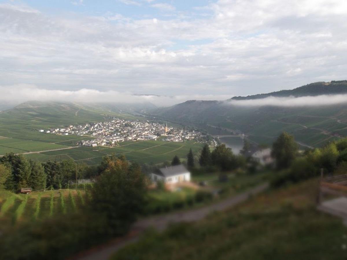 Trittenheim Nebel Kopie