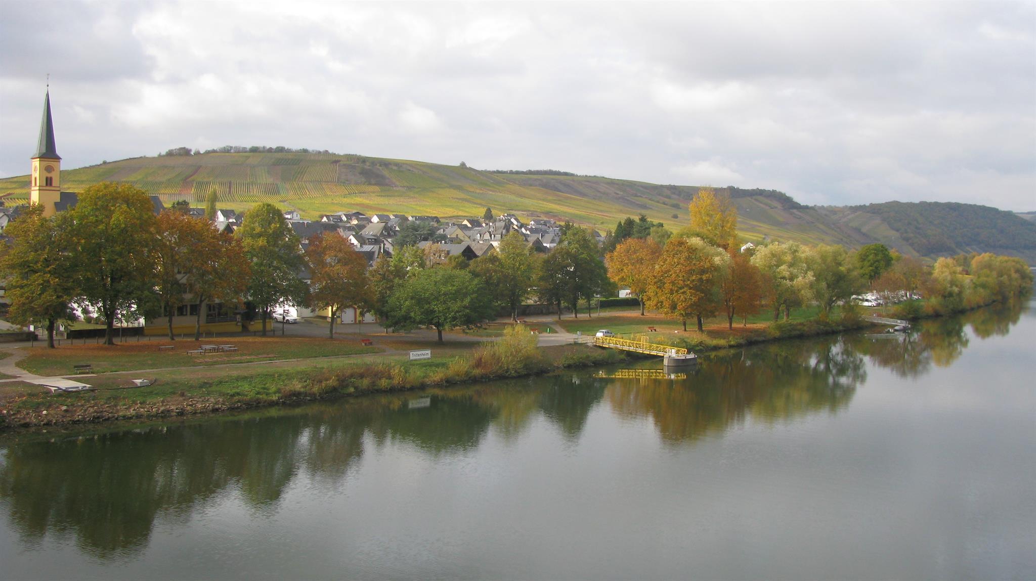Herbst in Trittenheim