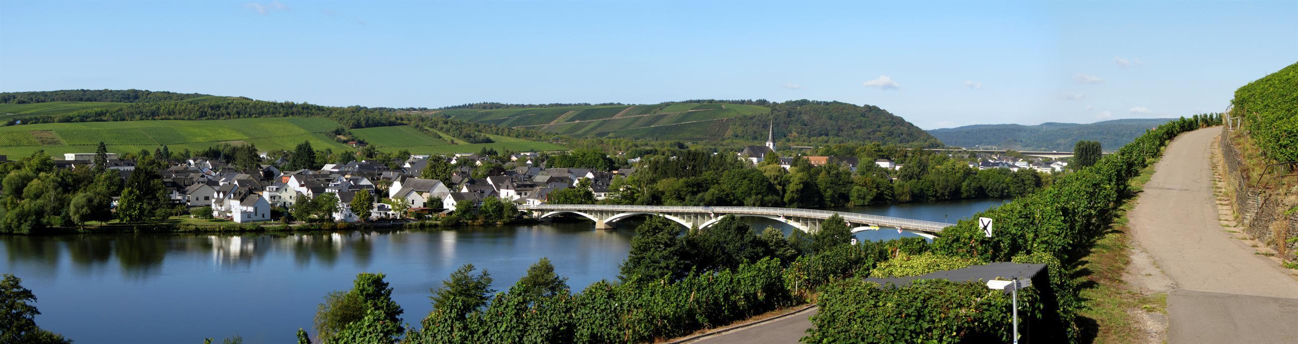 Panorama Ortsgemeinde Longuich