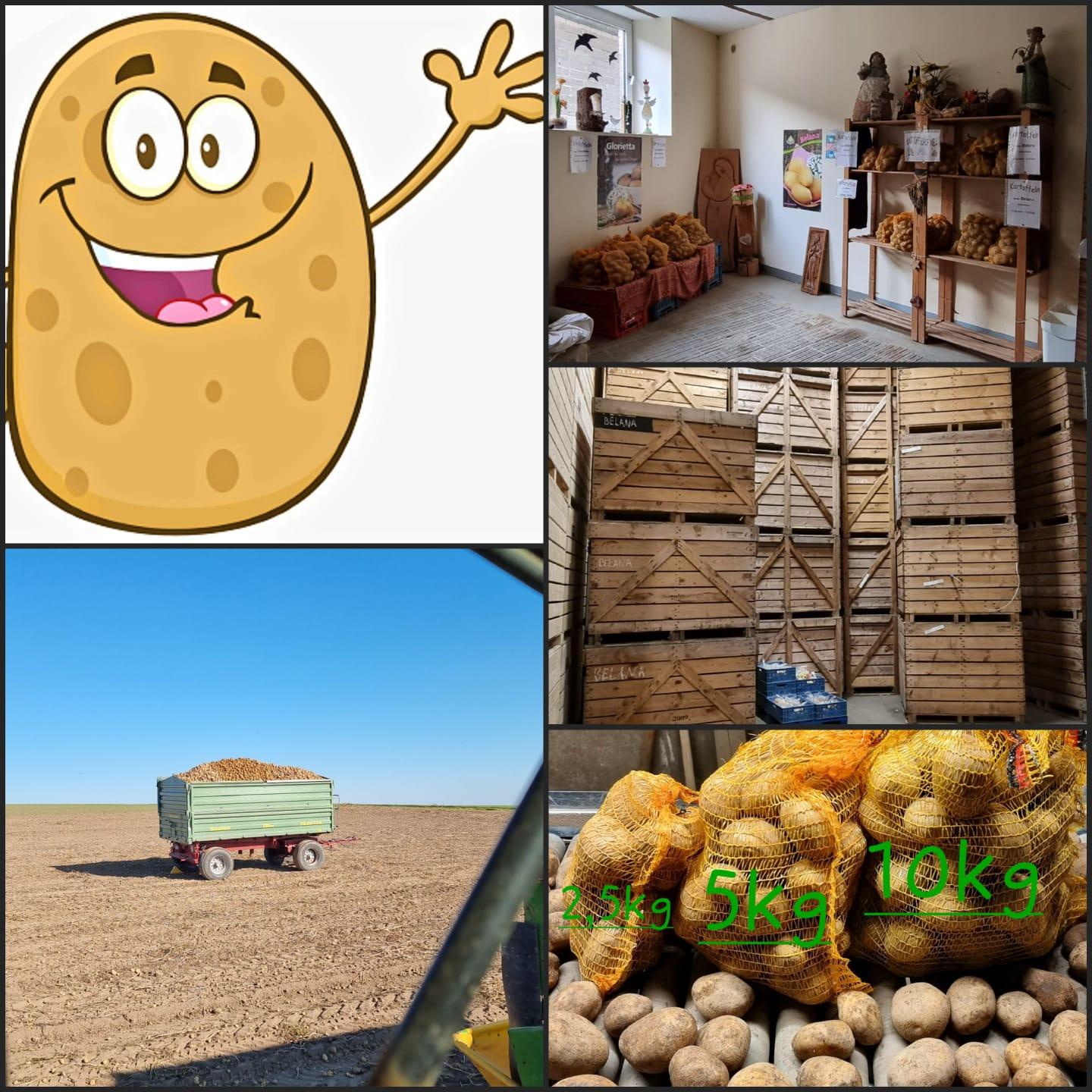Kartoffel2